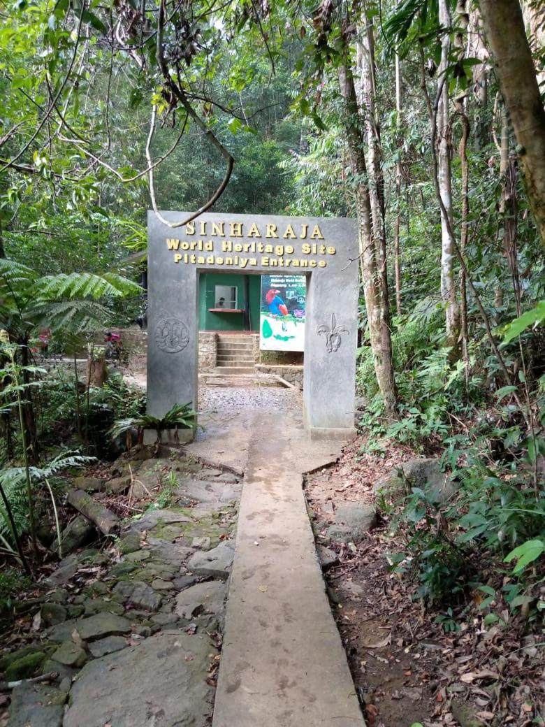 Sunshine Forest Lodge - Sinharaja Денияйя Экстерьер фото